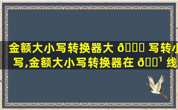金额大小写转换器大 🐅 写转小写,金额大小写转换器在 🌹 线转换